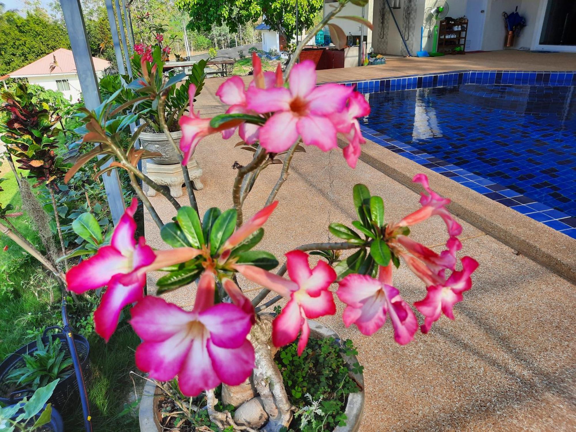Lemax Homestay And Thailand Tours 佛丕 外观 照片
